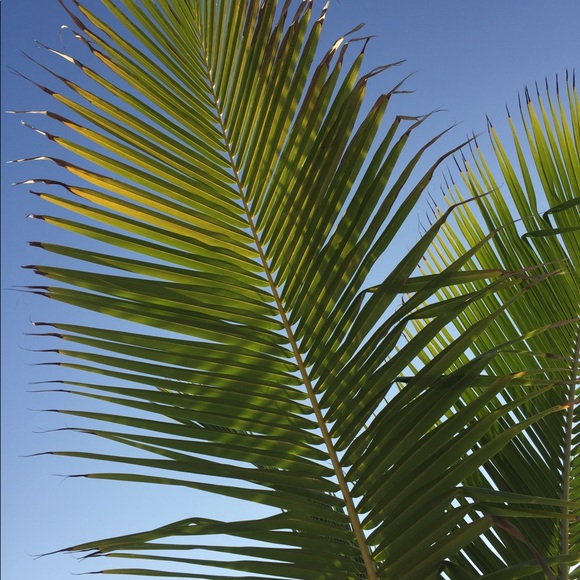 Meet your Posher, Laura - Picture 2 of 4